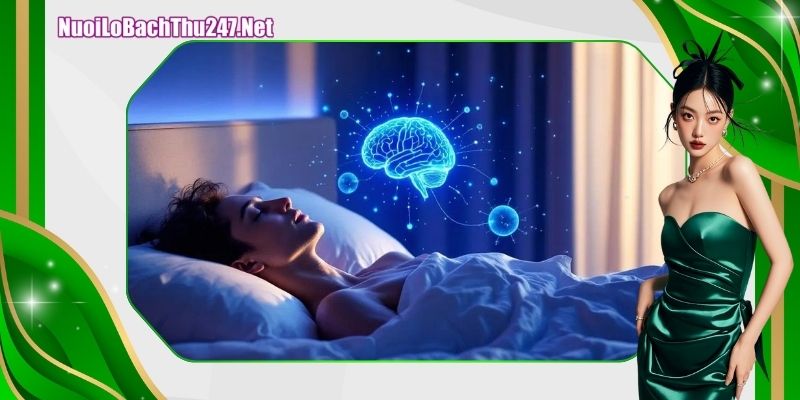 Các con số gắn liền với giấc mơ anh rể